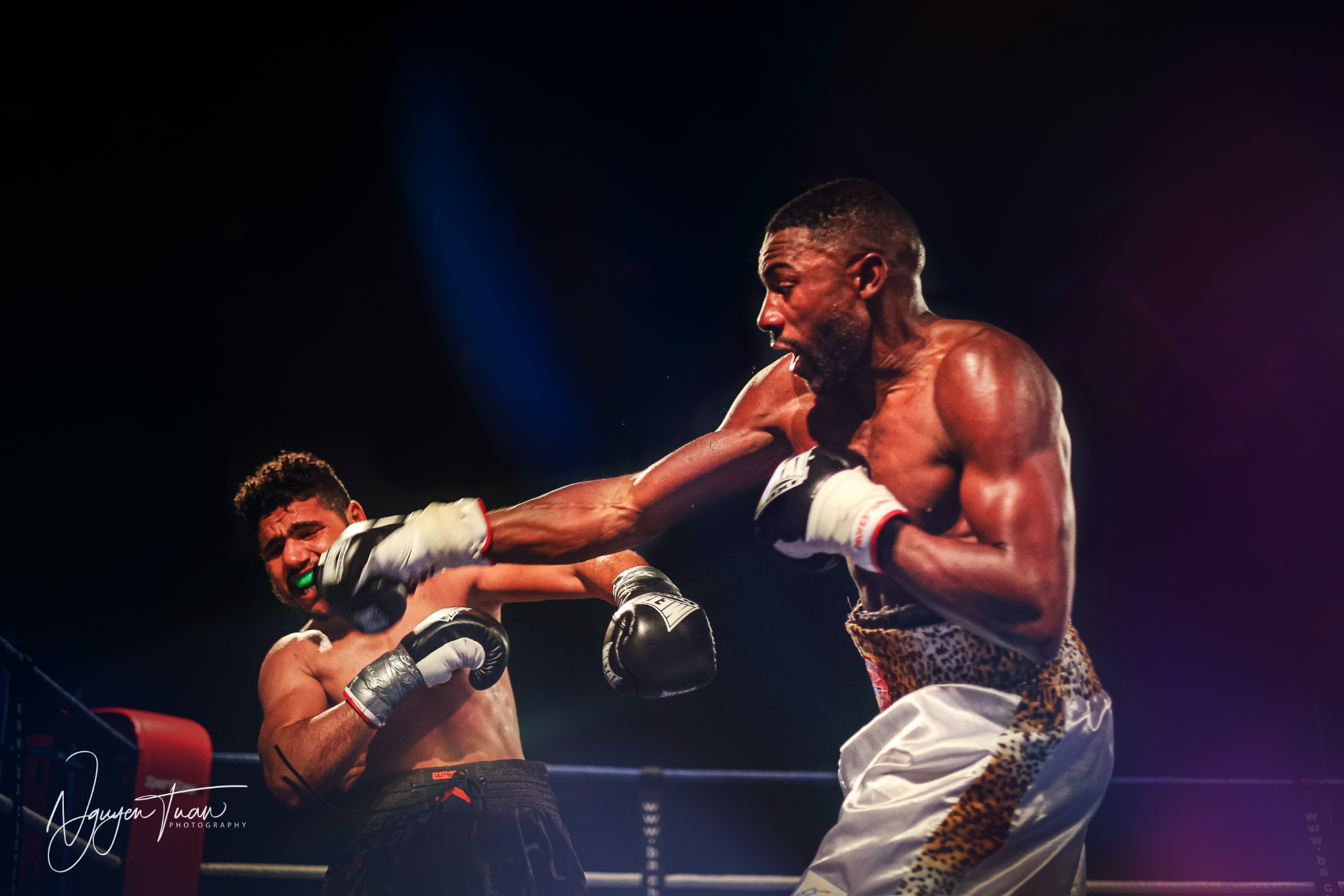 Gala de Boxe MMC | Michel Mothmora